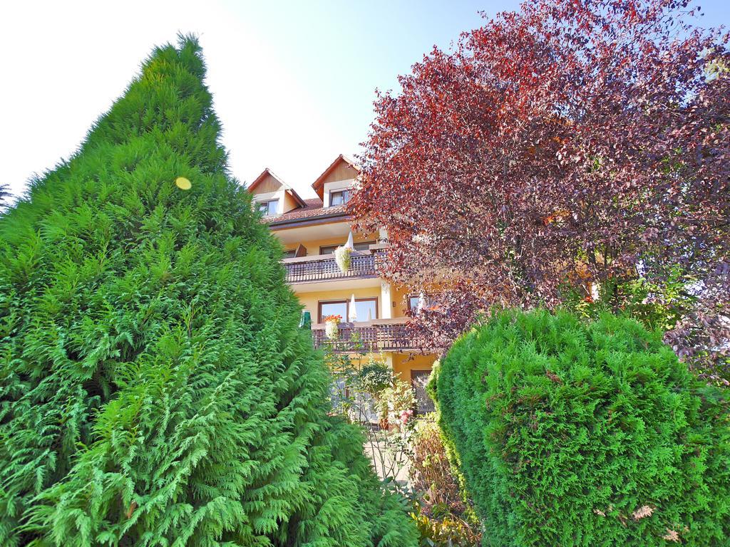 Ringhotel Garni Pflug Oberkirch  Exterior photo